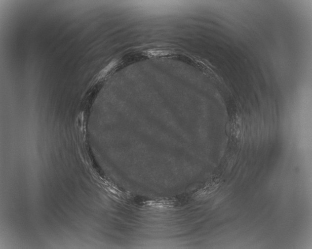 X0000052920763200508050803
