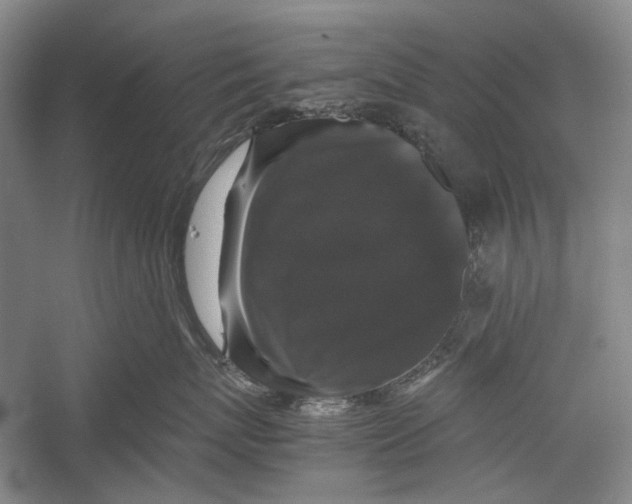 X0000052920767200508050803