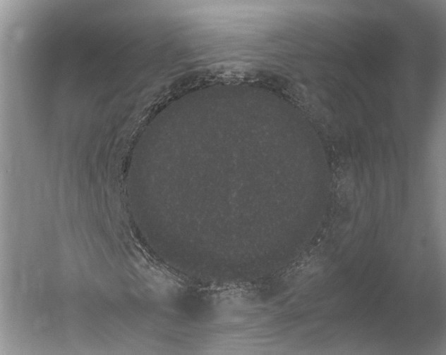 X0000052920769200508050802