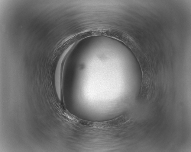 X0000052920773200508050802