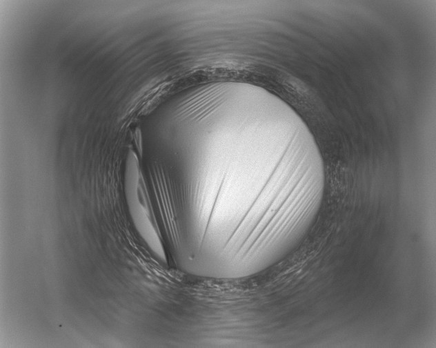 X0000052920774200508050802