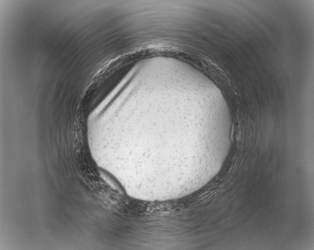 X0000052920776200508050802