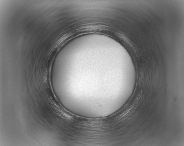 X0000052920778200508050802
