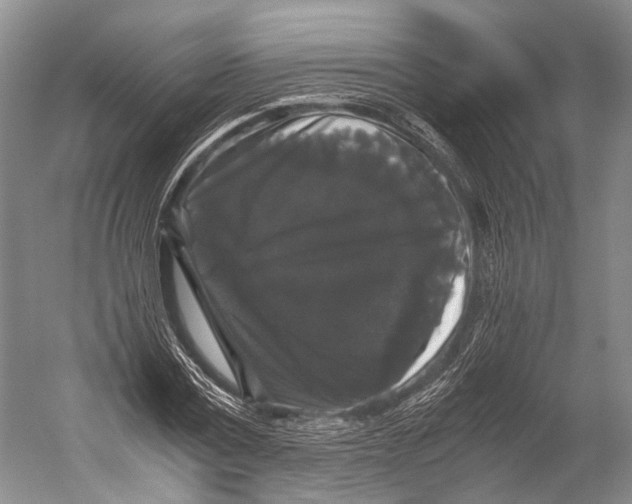 X0000052920779200508050802