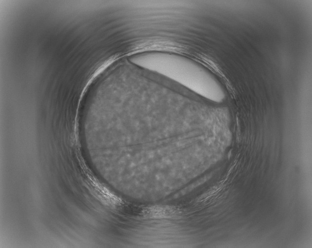 X0000052920780200508050802