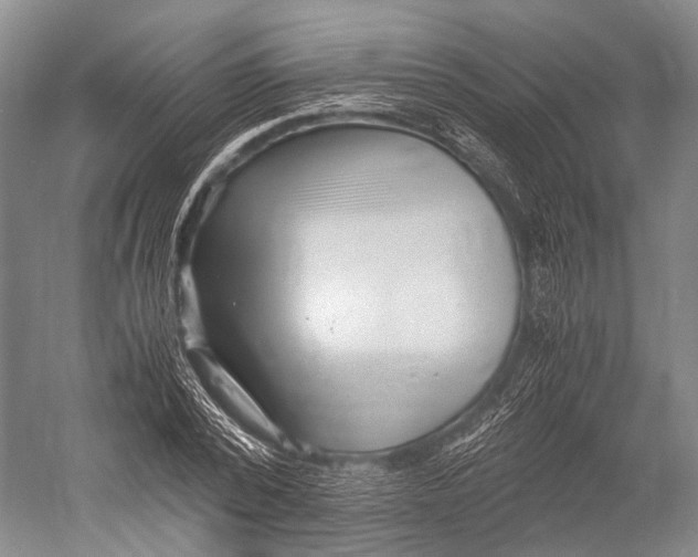 X0000052920784200508050802