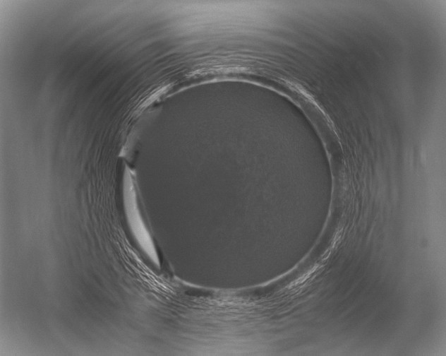 X0000052920785200508050802