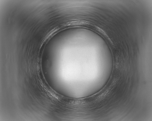 X0000052920786200508050802