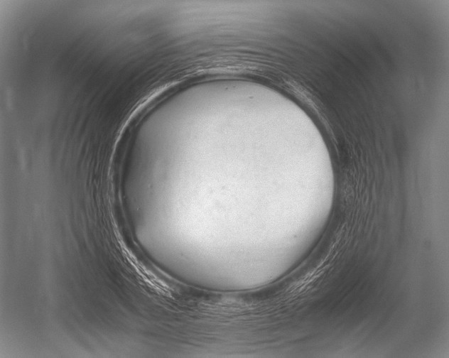 X0000052920787200508050802