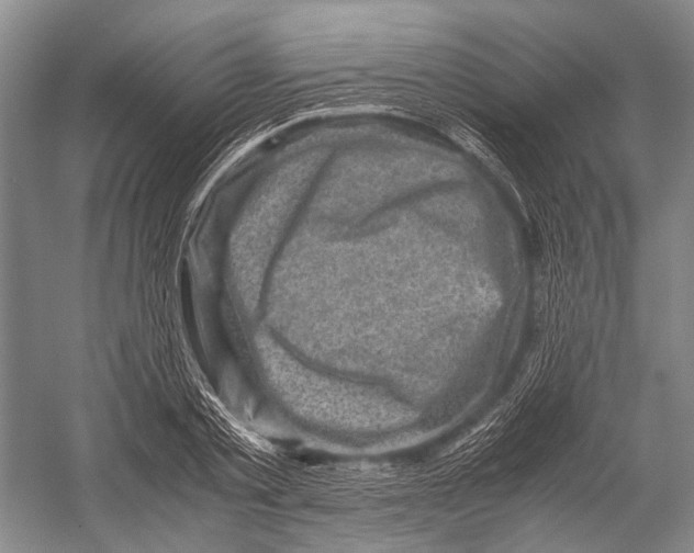 X0000052920789200508050802