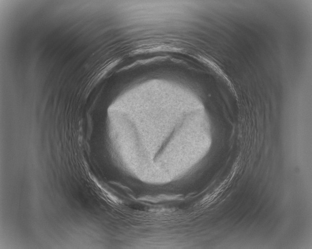 X0000052920793200508050802