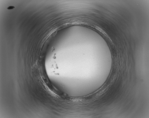 X0000052920801200508050802