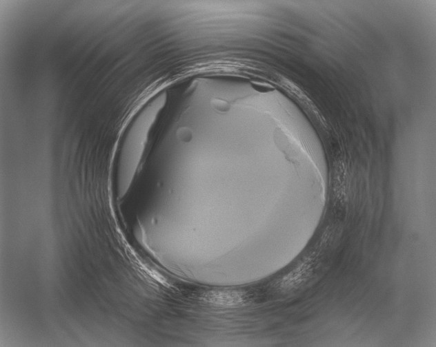X0000052920802200508050802