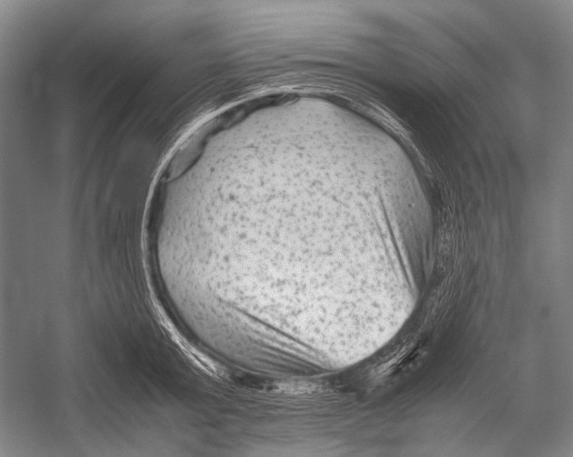 X0000052920803200508050802
