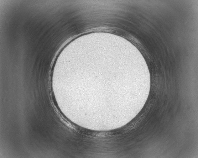 X0000052920808200508050802