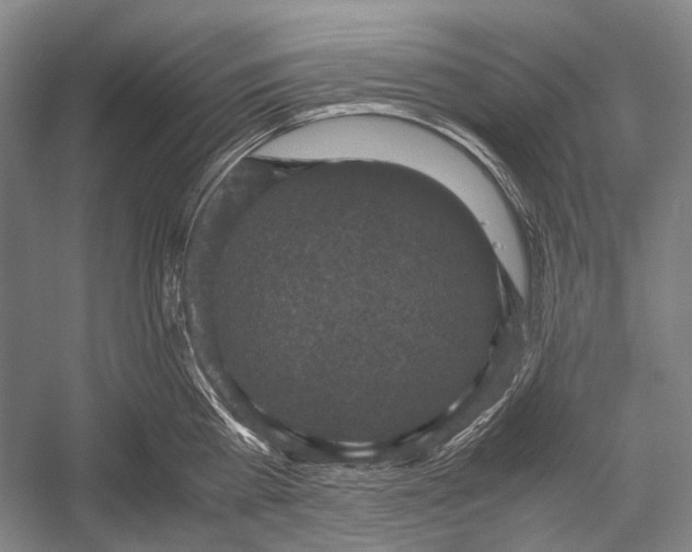 X0000052920809200508050802