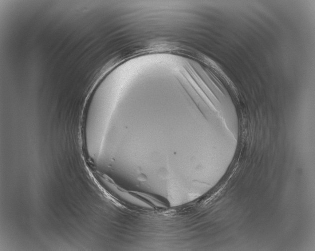 X0000052920810200508050802