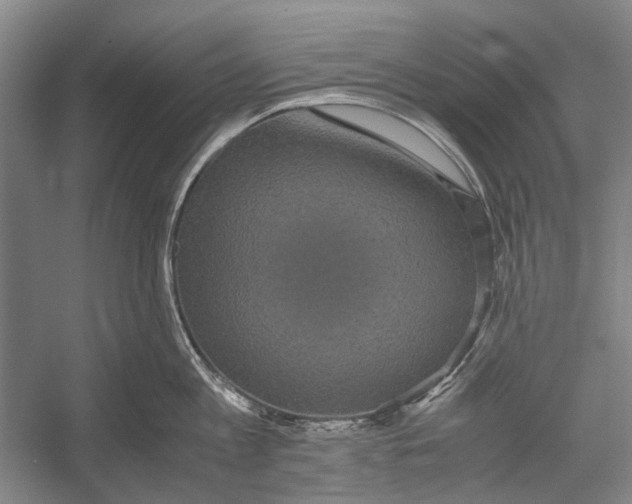 X0000052920813200508050802