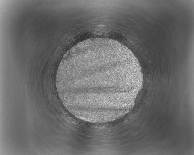 X0000052920817200508050801