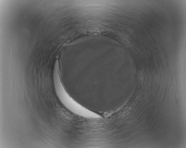 X0000052920818200508050801