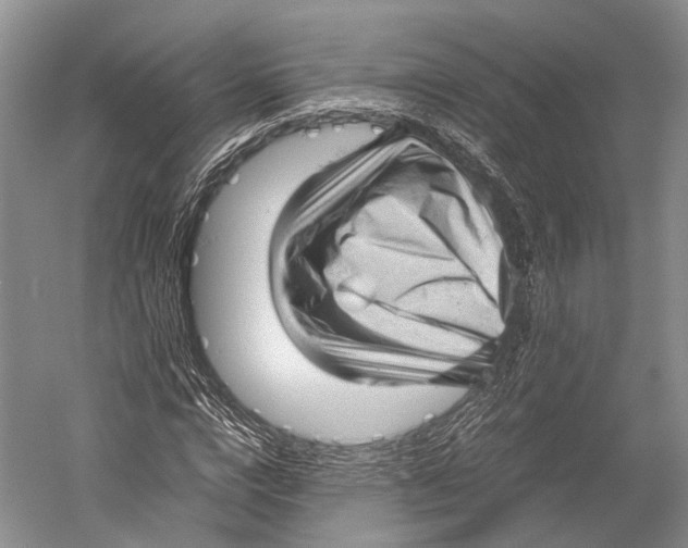 X0000052920824200508050801