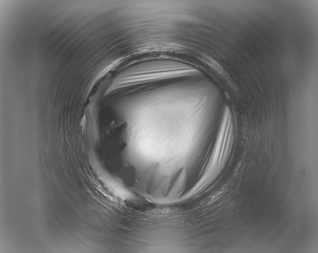 X0000052920826200508050801