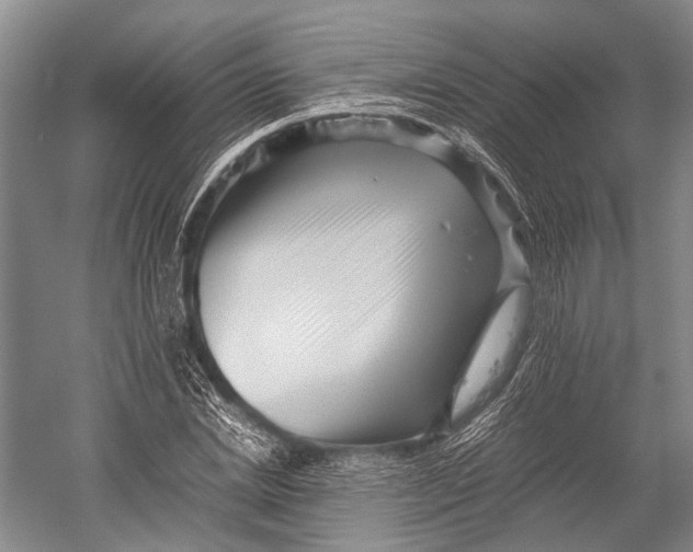 X0000052920830200508050801