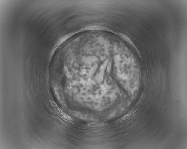 X0000052920831200508050801