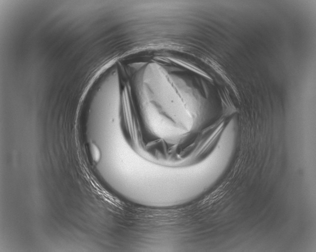 X0000052920832200508050801