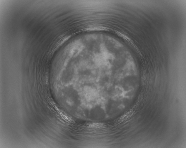 X0000052920833200508050801