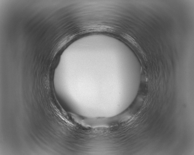X0000052920834200508050801