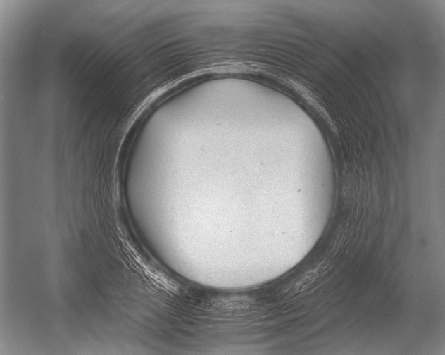X0000052920837200508050801