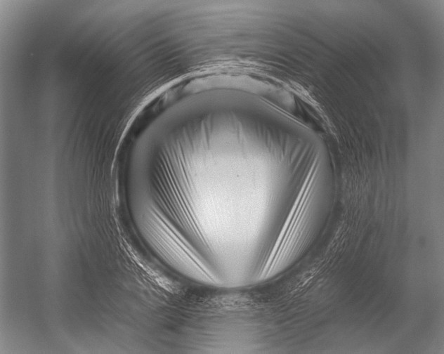 X0000052920838200508050801