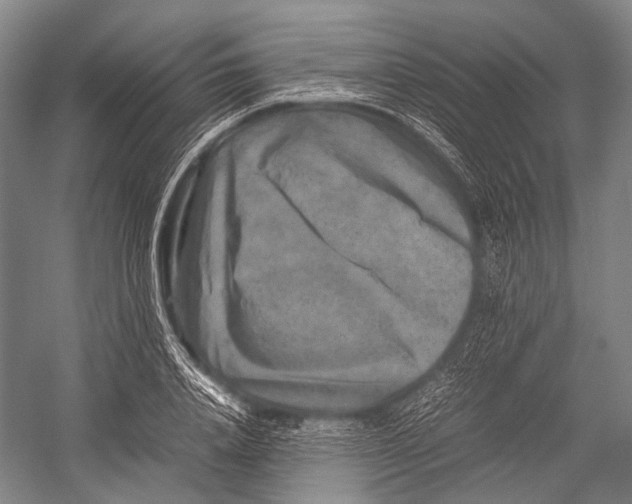 X0000052920840200508050801