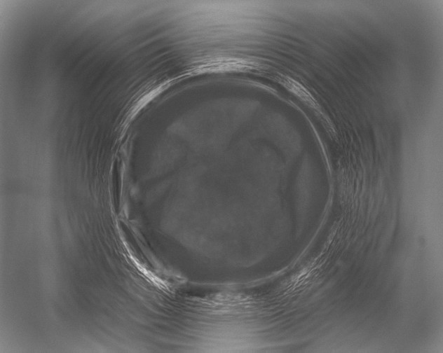 X0000052920842200508050801