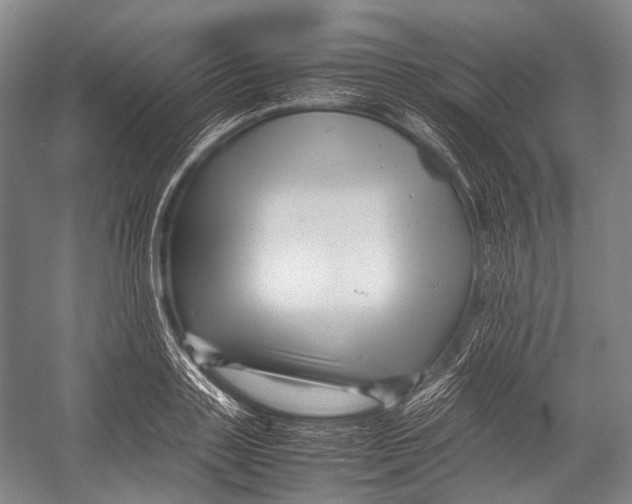 X0000052920843200508050801