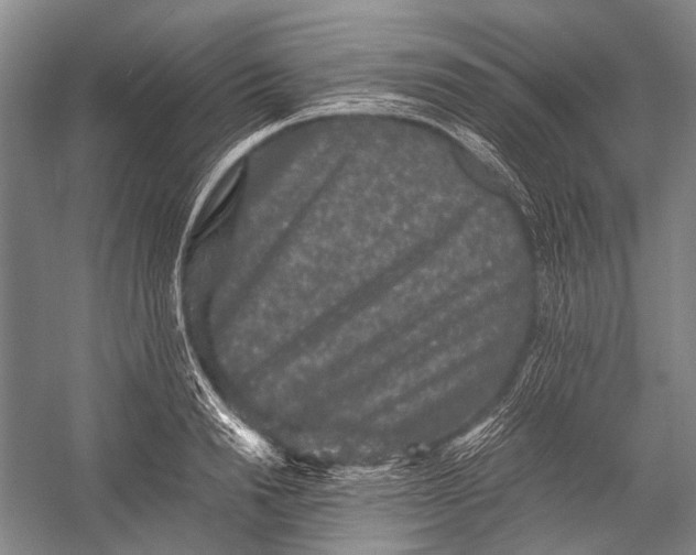 X0000052920846200508050801