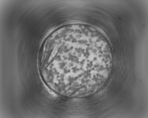 X0000052920847200508050801