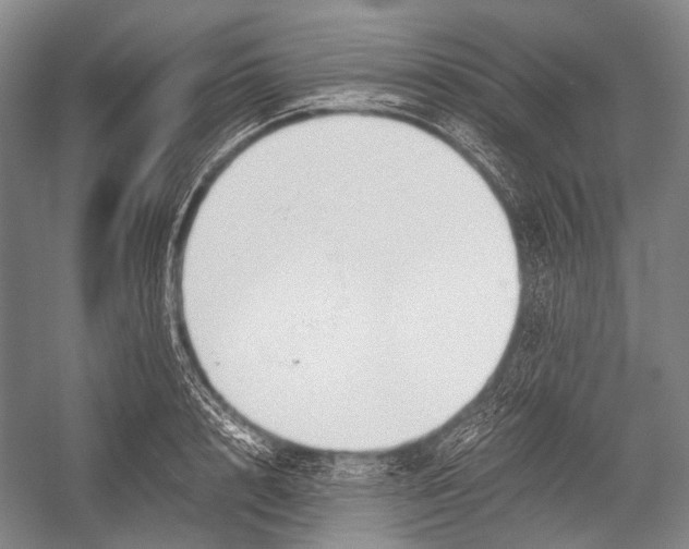 X0000052920848200508050801