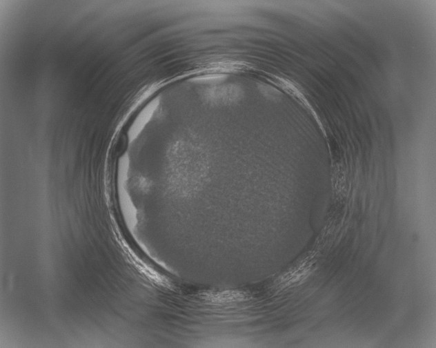 X0000052920851200508050801