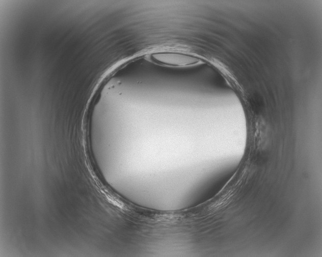 X0000052920854200508050801