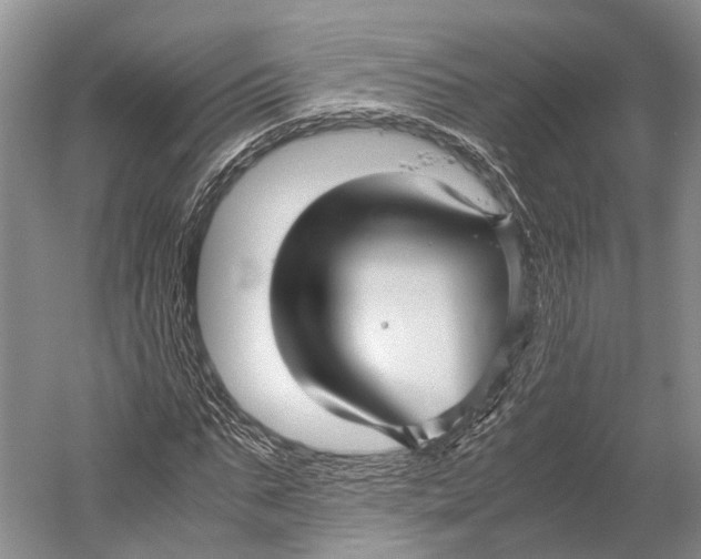 X0000052920871200508050801