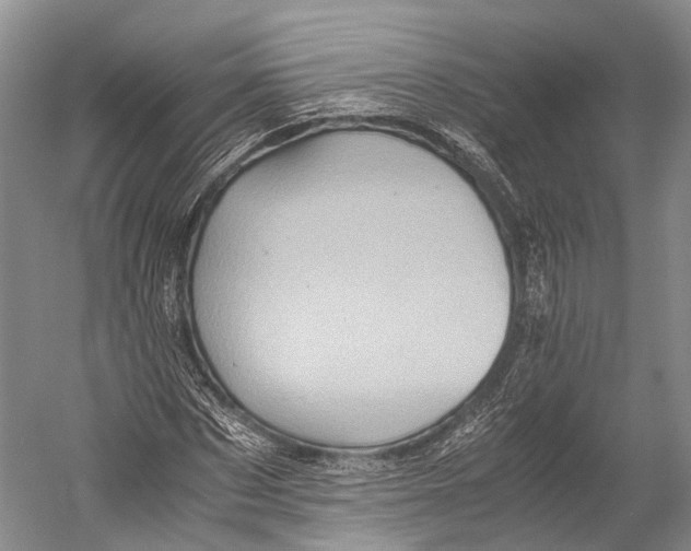 X0000052920873200508050801