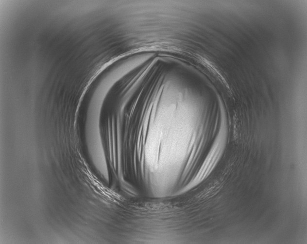 X0000052920876200508050800