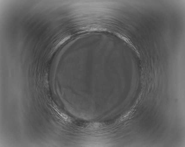 X0000052920881200508050800