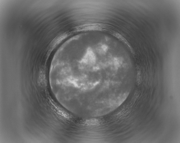 X0000052920882200508050800