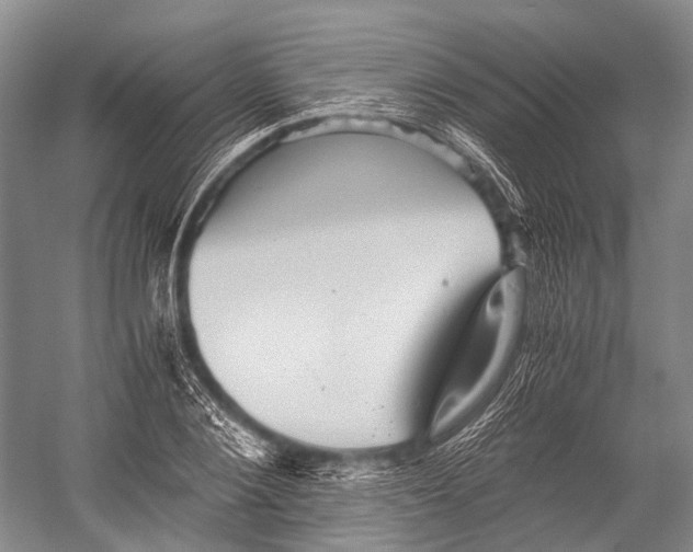 X0000052920884200508050800