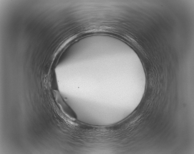 X0000052920885200508050800