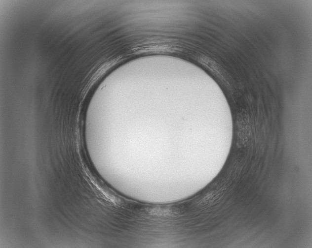 X0000052920890200508050800
