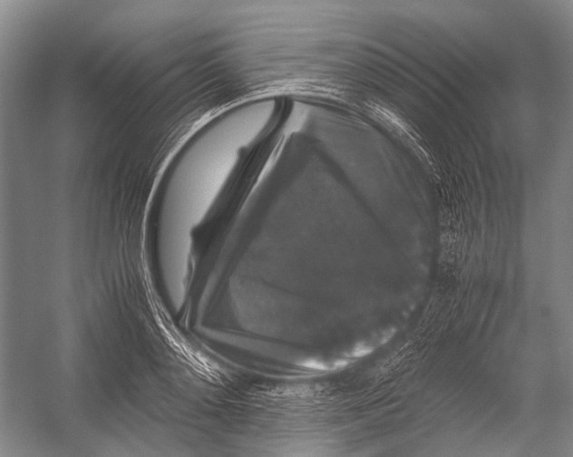 X0000052920892200508050800